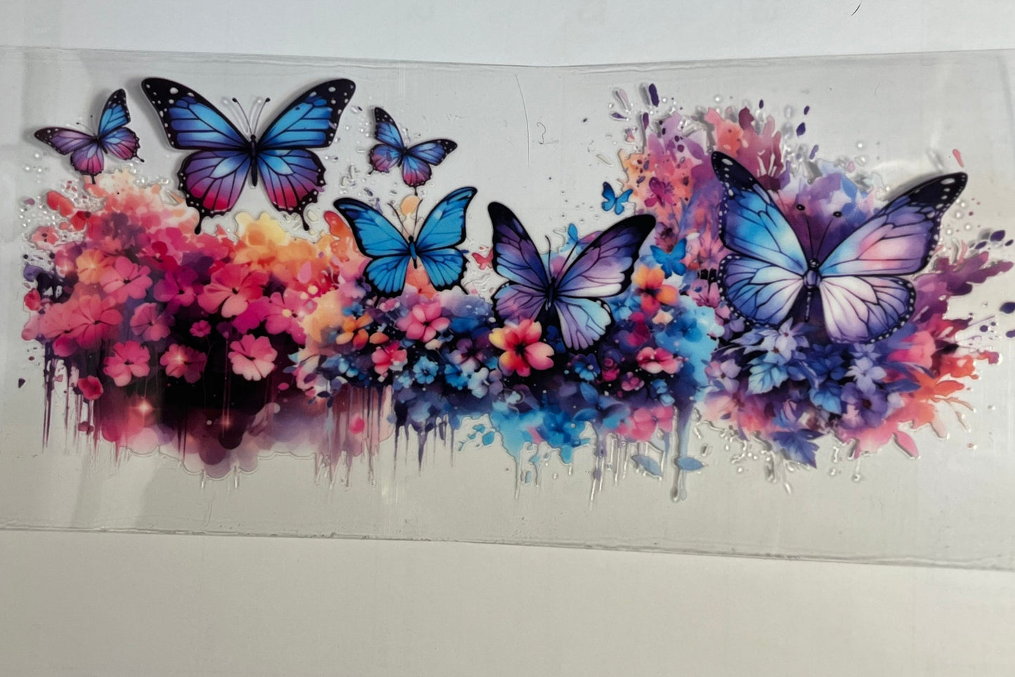 Butterflies & Flowers